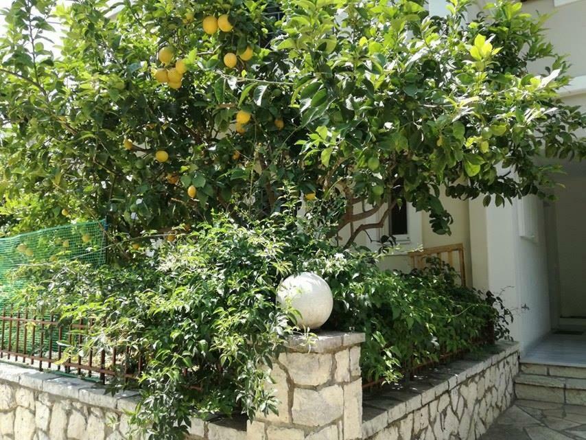 Efi'S Studio Λευκάδα Εξωτερικό φωτογραφία
