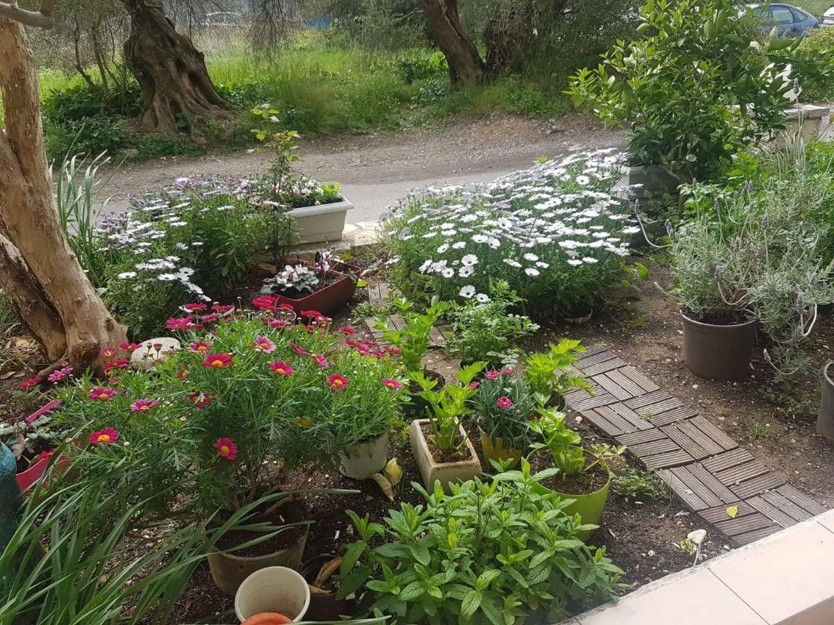 Efi'S Studio Λευκάδα Εξωτερικό φωτογραφία